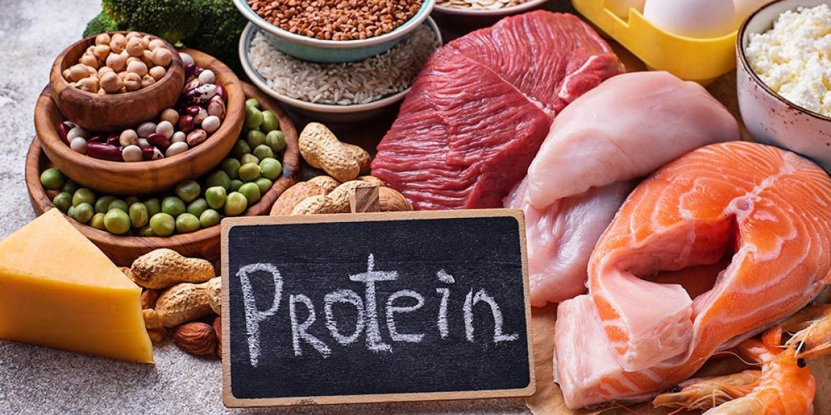 Продукты, богатые протеином