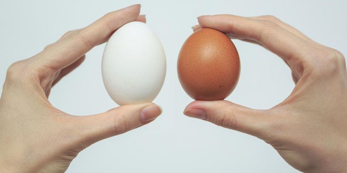 Белое и коричновое яйца